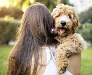 Girl Holding Dog at the Park in Summer