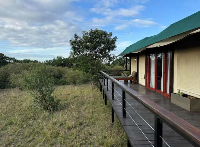 A deck with a railing and a tree in the background

Description automatically generated